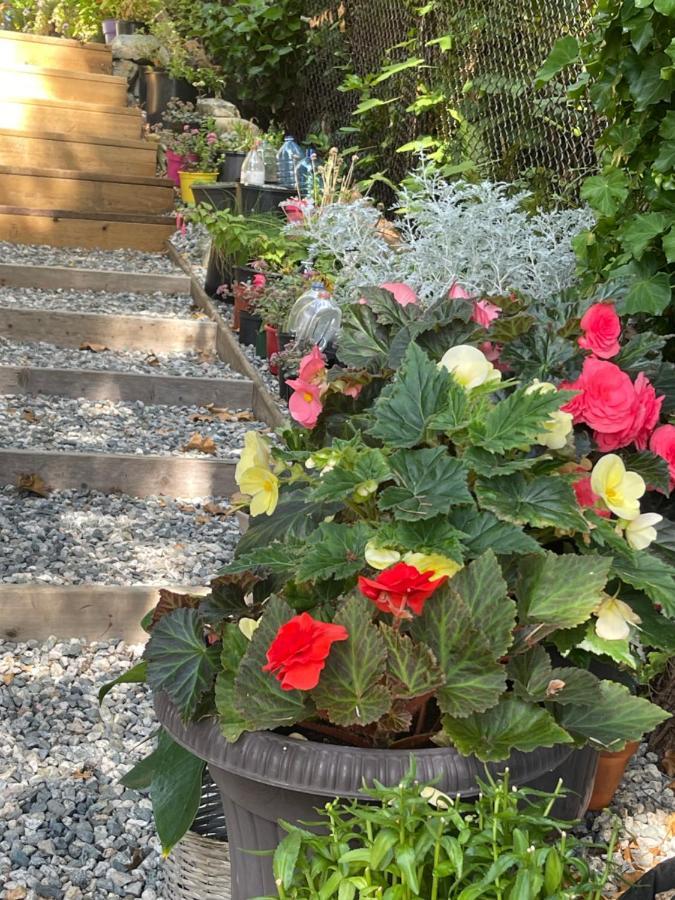 Villa Garden Bridge House Sechelt Exterior foto
