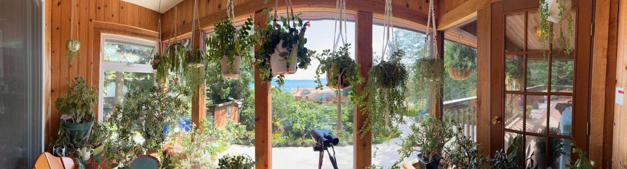 Villa Garden Bridge House Sechelt Exterior foto