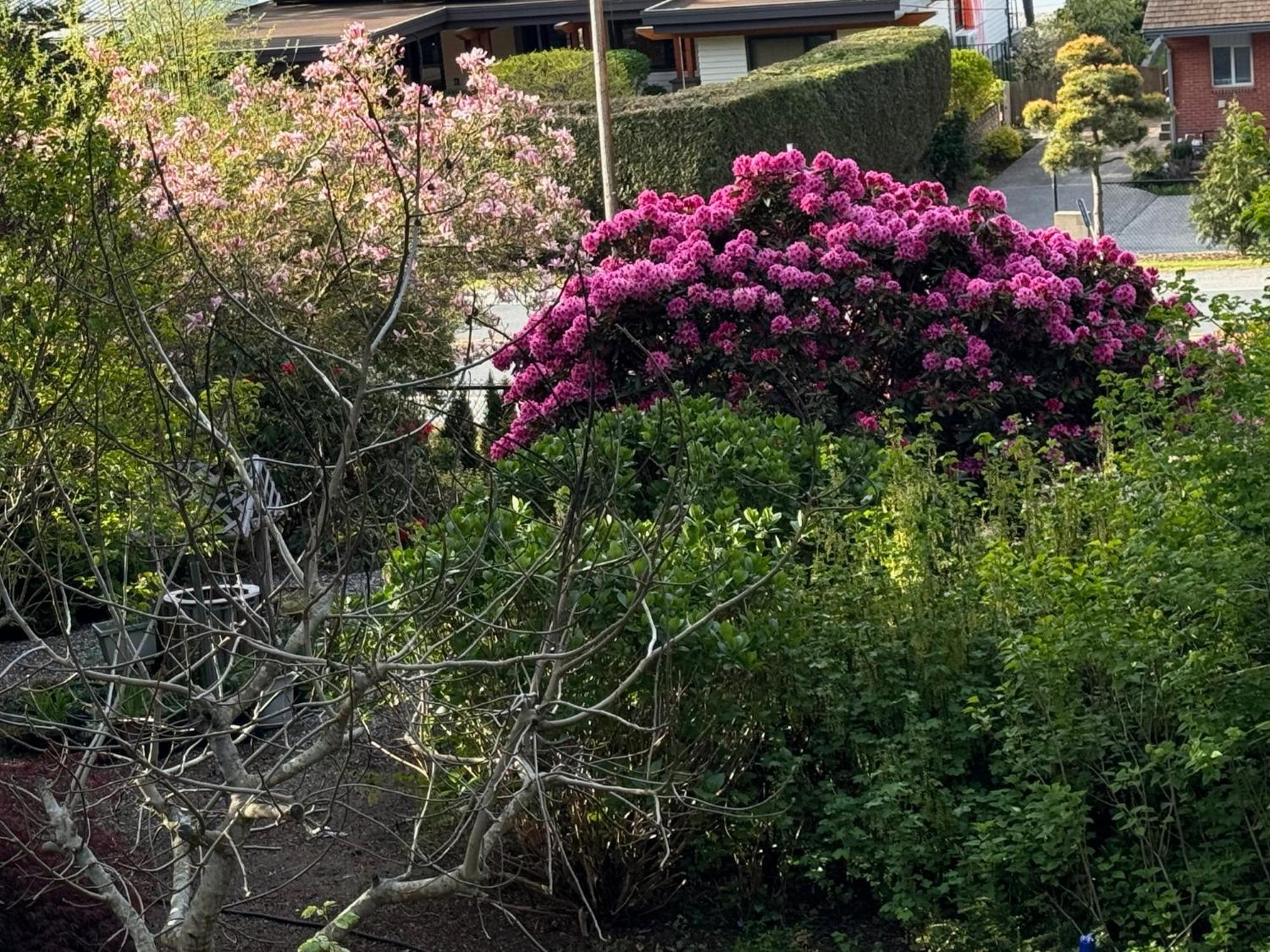 Villa Garden Bridge House Sechelt Exterior foto
