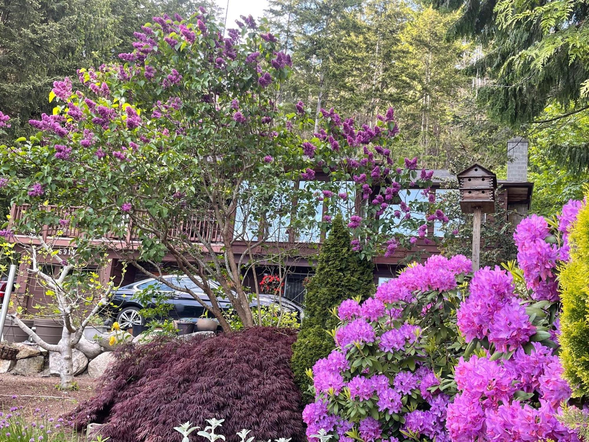 Villa Garden Bridge House Sechelt Exterior foto